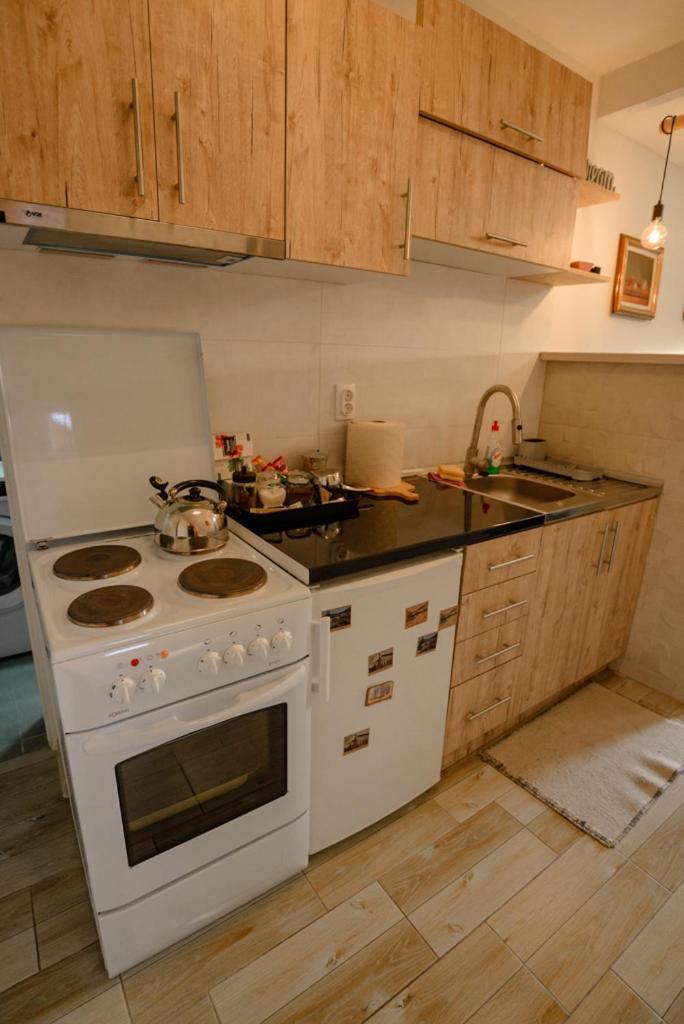 Apartman Sen'S Лесковац Экстерьер фото
